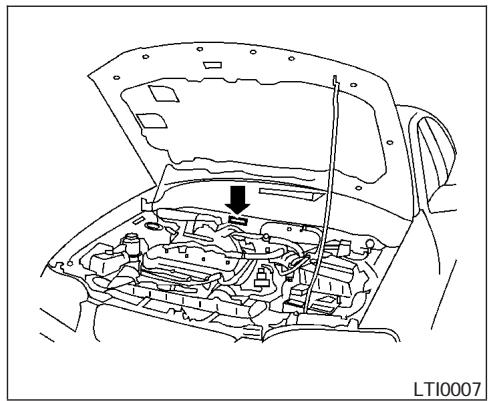 NISSAN SENTRA 2003 - PLAQUE DU NUMERO D'IDENTIFICATION DU VEHICULE (NIV) - 1