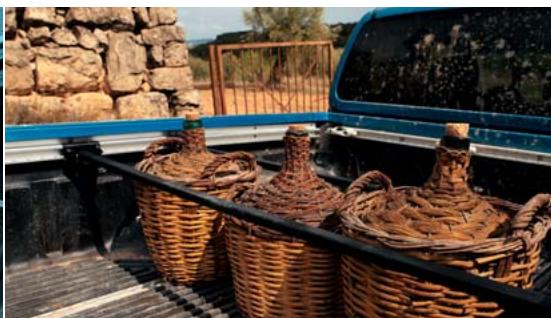 NISSAN NAVARA - TRANSPORTEUR, SÉDUCTEUR - 2