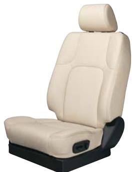 NISSAN NAVARA - NAVARA PLATINUM - 2