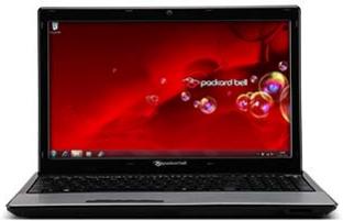 PACKARD BELL EN LJ65 - Le bureau de Windows s'affiche, mais le système d'exploitation est instable - 1