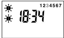 DELTA DORE DELTA 200 - Consigne confort - 3