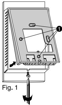 DELTA DORE MICRO DRIVER 1H - Fixation - 1