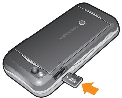 SONY ERICSSON YARI - Carte mémoire - 1