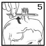 ESSENTIELB ETCR2 - Attention RISQUE de coupure: la TETE porte GUIDE de COUPE est tres tranchante. manipulez-la avec beaucoup de precaution. - 1