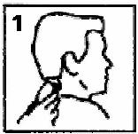 ESSENTIELB ETCR2 - Utilisation de la tondeuse avec un guide de coupe - 1