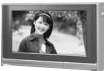 FUJI F810 - Téléviseur - 4