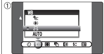 FUJI F810 - 1 - 1