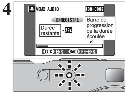 FUJI F810 - Utilisation de la visualisation auto sur un téléviseur - 5