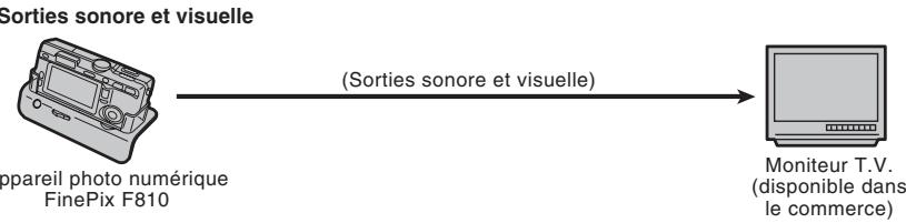 FUJI F810 - Options pour extension du système - 1