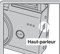 FUJI F810 - Lorsque l'image possède déjà une annotation vocale - 5