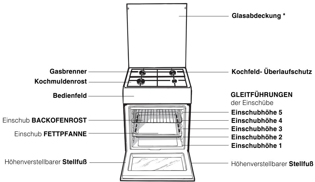 SCHOLTES CI 46S G W - Merkmal-Tabelle Brenner und Dusen - 2