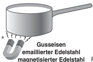 Gusseisen emaillierter Edelstahl magnetisierter Edelstahl