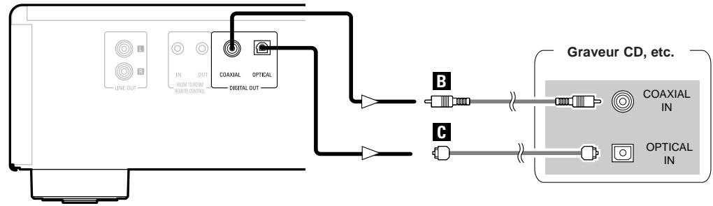 DENON DN-C200P - Connexions analogiques - 2