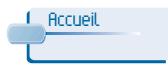 ALCATEL-LUCENT 4029 - Sélectionner la page d'accueil - 4