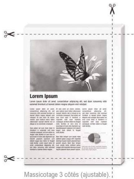 RICOH PRO 1356EX - Encollage en ligne - 1