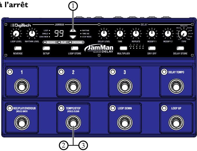 DIGITECH JAMMAN DELAY LOOPER PHRASE SAMPLER - Time stretch en cours de lecture - 1