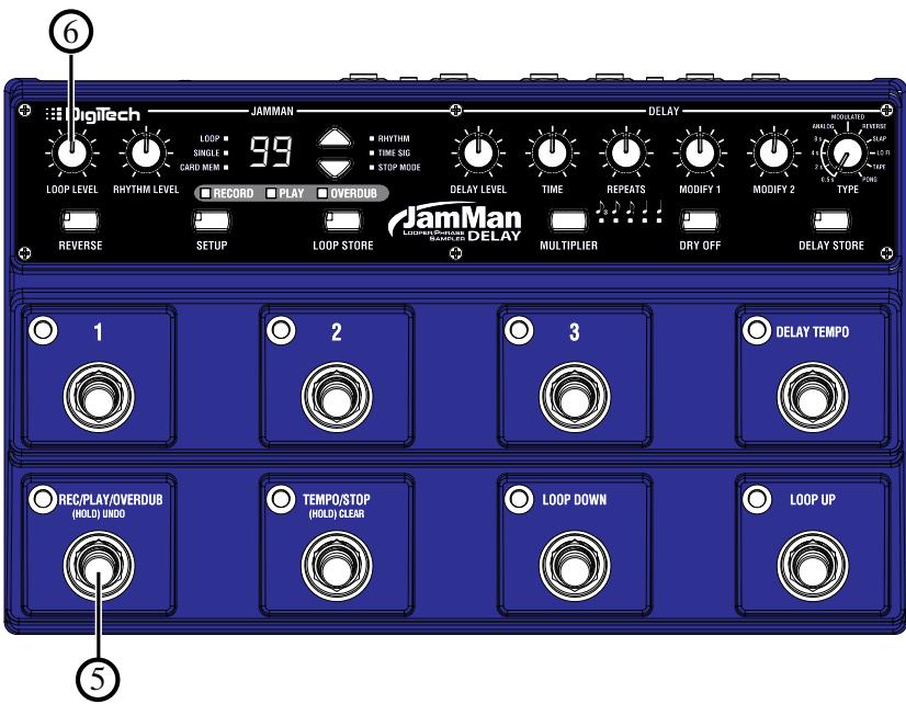 DIGITECH JAMMAN DELAY LOOPER PHRASE SAMPLER - Pédale d'expression et looper - 1