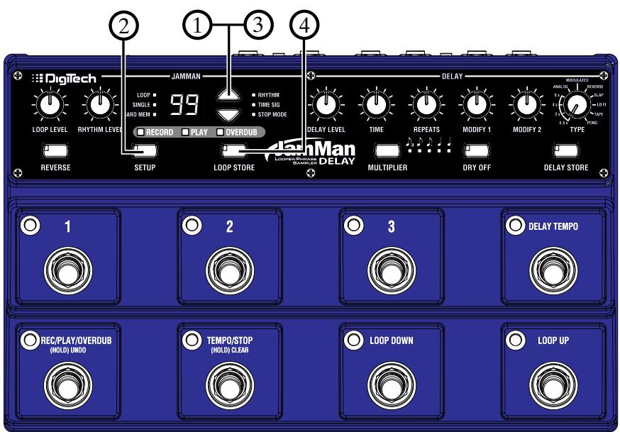 DIGITECH JAMMAN DELAY LOOPER PHRASE SAMPLER - Signature rythmique - 1