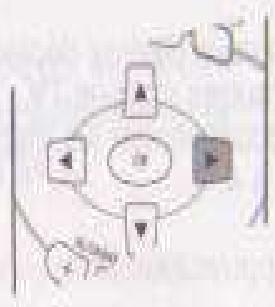 BLUESKY XR200 - Accord automatique - 10