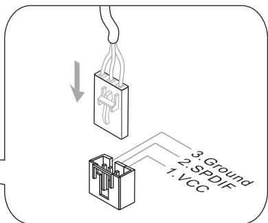 MSI 870-G45 - S/PDIF-Out Connector: JSP1 - 2