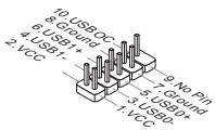 MSI MS-7623 760GM-P33 - Connecteur USB avant : JUSB1, JUSB2 - 1
