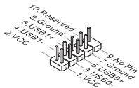 10. Reserved 8. Ground - 6. USB1+ 4. USB1- 2. VCC 9. No Pin 7. Ground 5. USB0+ 3. USB0- 1. VCC