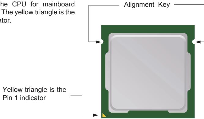 MSI B75MA-P45 - Introduction to the LGA 1155 CPU - 1