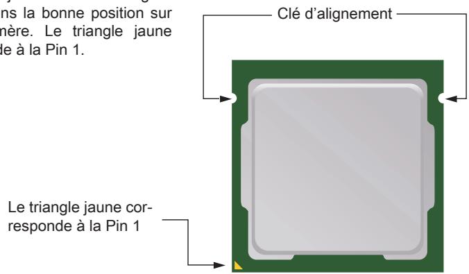 MSI B75MA-P45 - Introduction du LGA 1155 CPU - 1