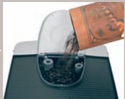 SAECO EASY - DISPOSAL - 5