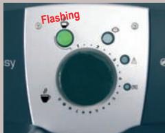 SAECO EASY - DISPOSAL - 11
