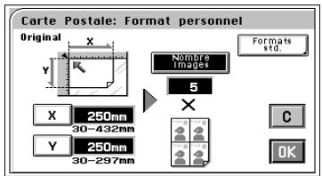 KONICA MINOLTA CF9001 - Si l'original n'a pas un format standard : - 4