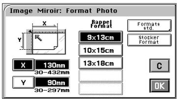 KONICA MINOLTA CF9001 - Si I'original est un format photo : - 2