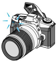 KONICA MINOLTA MAXXUM 5 - Centre le sujet dans la zone AF. - 2