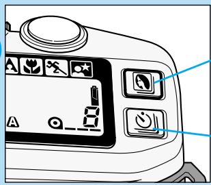 KONICA MINOLTA MAXXUM 5 - PROGRAMMES- RÉSULTATS / MODES D'ENTRAJINEMENT - 2