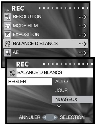 KONICA MINOLTA DIMAGE G600 - Balance des blancs - 5
