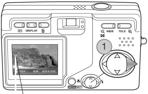 KONICA MINOLTA DIMAGE G600 - Modes Flash - 1