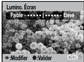 KONICA MINOLTA DIMAGE Z6 - Réglage de la luminosité de l'écran - 5