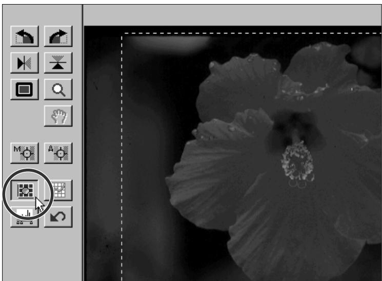 KONICA MINOLTA SCAN MULTI I SOFTWARE - OUVRIR LA FENÊTRE DES VARIATIONS - 1