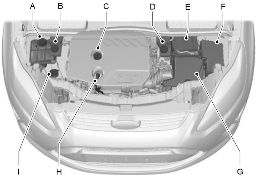 FORD FOCUS 2012 - VUE D'ENSEMBLE SOUS LE CAPOT-1.6L DURATORQ-TDCI (DV) DIESEL - 1