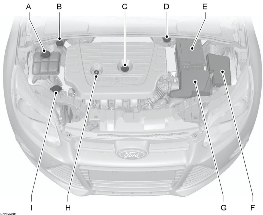 FORD FOCUS 2012 - Entretien - 1