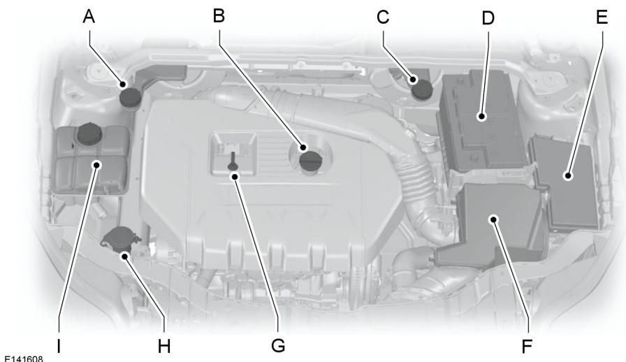 FORD FOCUS 2012 - VUED'ENSEMBLESOUSLECAPOT-2.0LECOBOOSTSCTI (MI4) - 1