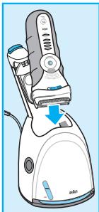 BRAUN 370CC - 13