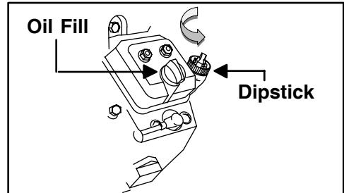 MTD 290000 - CHECKING AND ADDING OIL - 1
