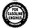 MTD 300000 - TYPE OF OIL TO USE - 2