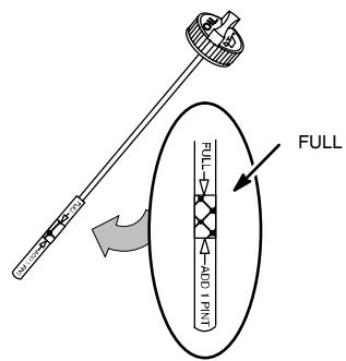 MTD 300000 - CHECKING AND ADDING OIL - 2