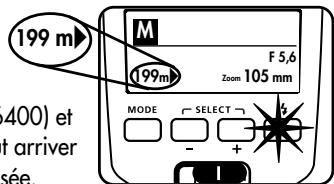 METZ MECABLITZ 50 AF-1 DIGITAL - Dépassement de la capacité d'affiche - 2