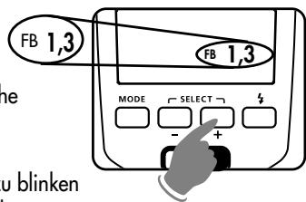 METZ MECABLITZ 50 AF-1 DIGITAL - Einstellvorgang - 2