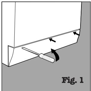 HOTPOINT-ARISTON MARGHERITA - En cas de besoin, inspectez la pompe et le tuyau en caoutchouc. - 1