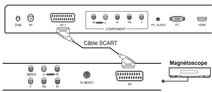 HUMAX LGB-22DTT - Utilisation du cable SCART - 1