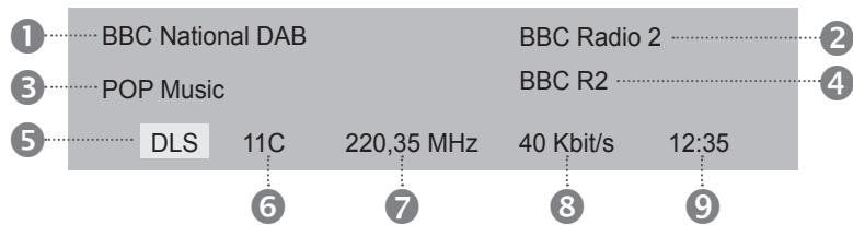 HUMAX LGB-22DTT - Informations relatives au programme DAB - 1